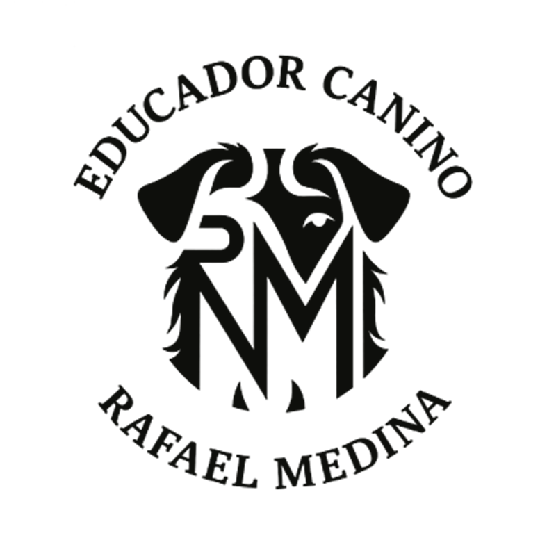 rafa mundo canino